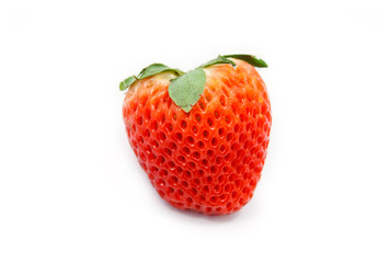 Strawberry on white background