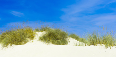 XXX - Sand dune at the beach - 43294334