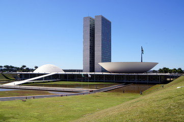 BRAZILIAN CONGREE