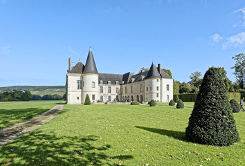 Fototapeta na wymiar Château de Condé-en-Brie 4