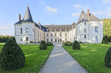 Fototapeta na wymiar Château de Condé-en-Brie 2