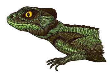 Profile Lizard. Hand drawn.