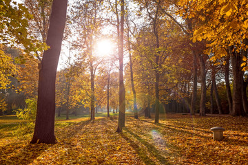 Colorful autumn landscape