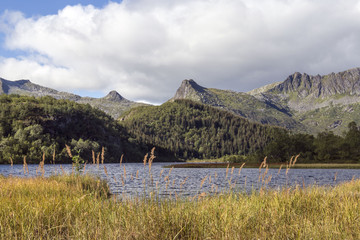 Bergsee auf den Lofoten