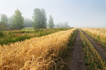 Road in field