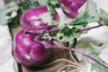 Kohlrabi cabbage with green leaves on a metal plate with a pair of scissors on a white textile closeup