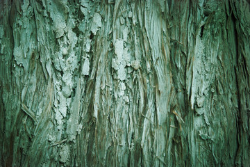 Obraz premium wood background