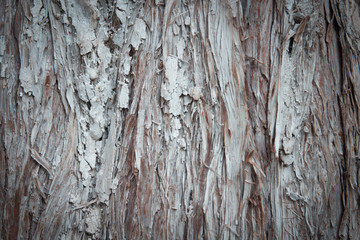 wood background