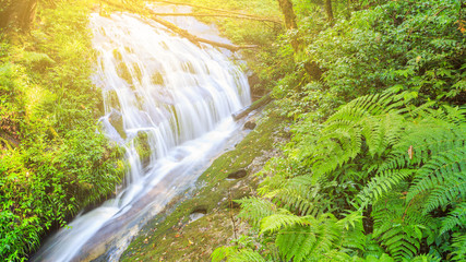 Beautiful waterfall in tropical rain forest