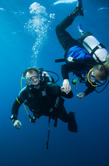 Scuba divers hovering together on a safety stop.