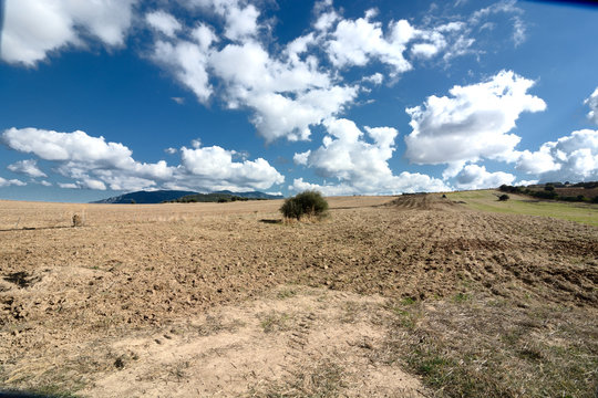 Arid countryside/Arid area topped by a sky with cumulus stray in South Sardinia
