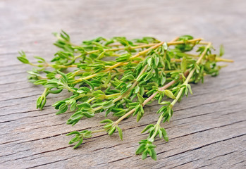 Thyme herbs