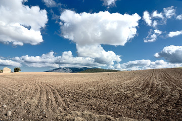 Arid countryside/Arid area in South Sardinia