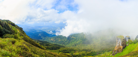 Fototapeta na wymiar Panorama beautiful mountain and fog at Doi inthanon in Chiangmai province,Thailand