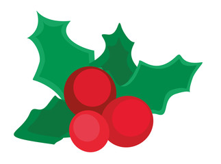 Mistelzweig Mistletoe