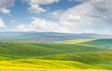 Beautiful landscape, yellow-green-blue colors of nature, sunny