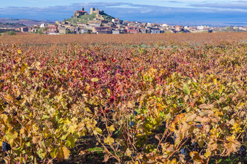 Viñedo, San Vicente de la Sonsierra al fondo, La Rioja (España)