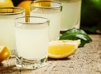 Traditional homemade lemon liqueur limoncello and fresh citrus o