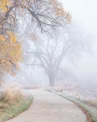 bike trail with fog and frost
