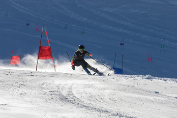 giant slalom