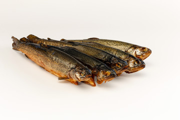forellen