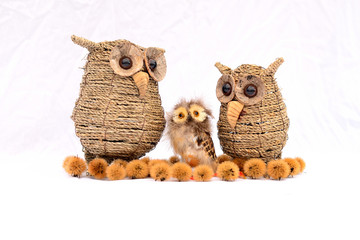 Uilen met puppy op witte achtergrond