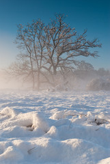 Winter scene St Fagans