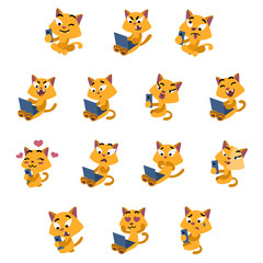 Yellow cats using social networks