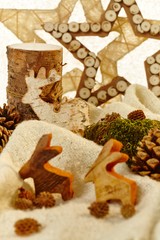 Closeup photo of natural christmas decoration