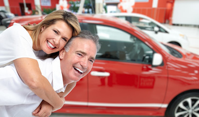 Happy senior couple near new car.