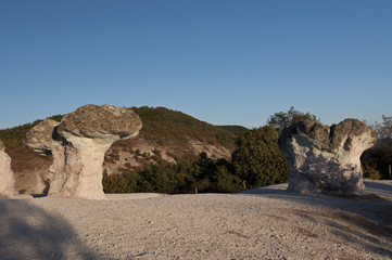 Bulgaria. Stone Mushrooms / The stone mushrooms are rock formations in Bulgaria. They have the shape of natural mushrooms – their stalks are pink, and the caps are green. 