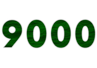 9000 sayısı