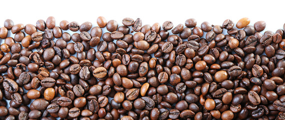 Coffee beans on white background