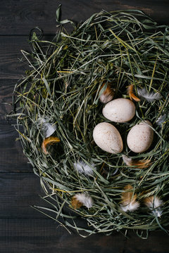 Three eggs in a nest of green grass on a black wooden background top view
