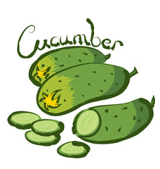 Vector Сucumber
