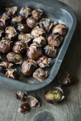 Freshly roasted chestnuts
