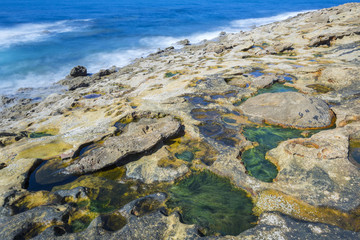 Beach of Fossils, Jaizkibel in Basque Country (Spain)
