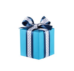 Wrapped blue gift box with ribbon bow, isolated on white