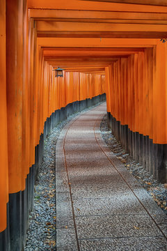 Red Tori Gates Curve Away At Fushimi Inari Shrine In Kyoto, Japa