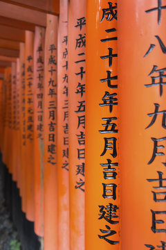 Close up of writing on the red tori gates at Fushimi Inari Shrin