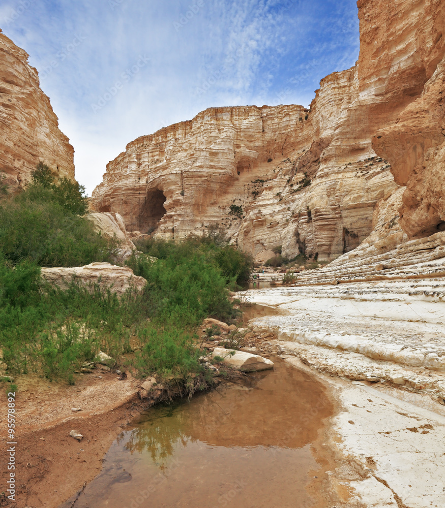 Poster ein avdat national park