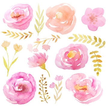 Fototapeta Watercolor flowers and leaves