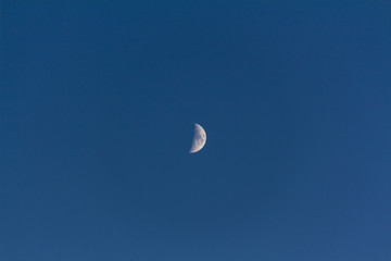 Moonlight in the night