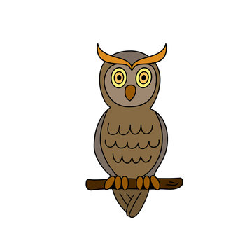 Funny sitting owl