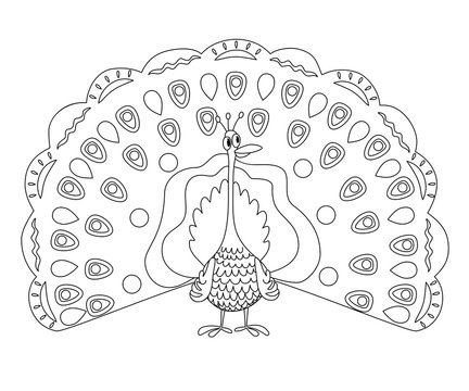 Coloring page outline of funny peafowl