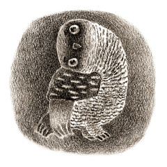 Black Banded Owl Sitting In a Hollow