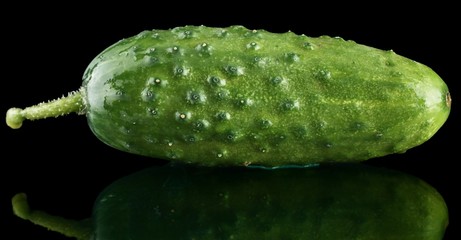 Fresh raw cucumber isolated on black