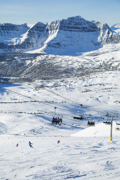 The Monarch and Continental Divide Chair
