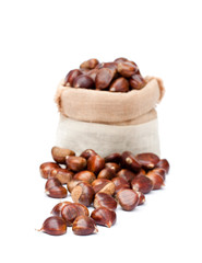 fresh  chestnuts in sack bag on white background