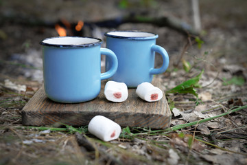 Cocoa with marshmallow in mugs on the ground